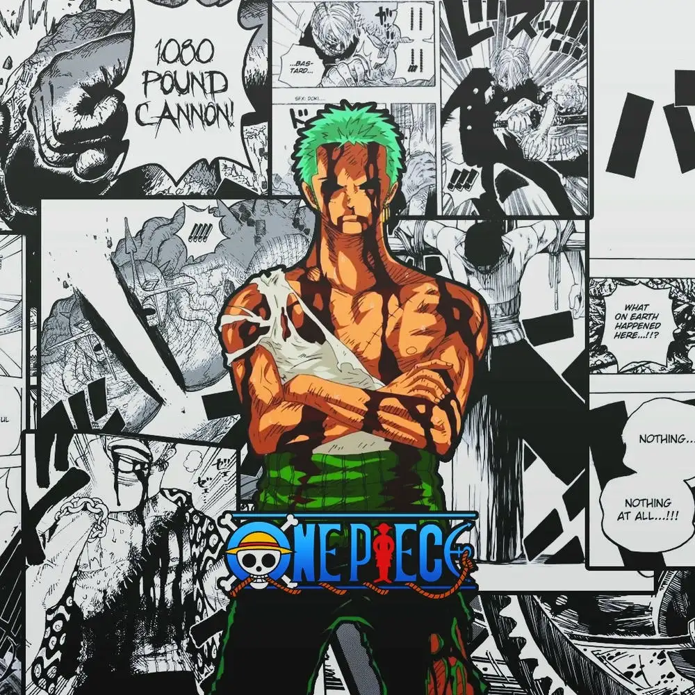 hình ảnh zoro đối đầu 
