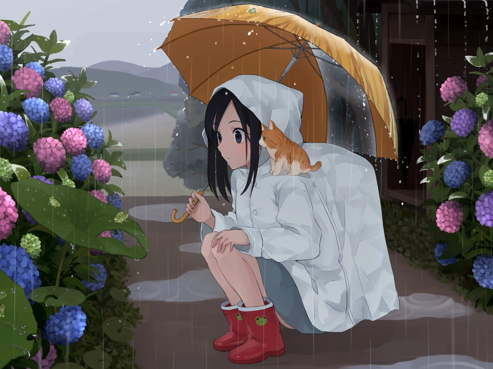 ảnh anime đứng dưới mưa một mình 