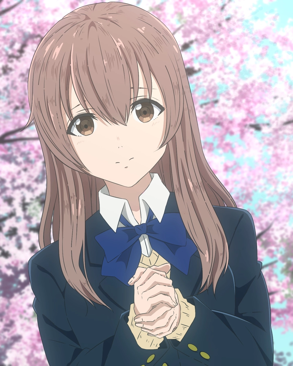 ảnh shouko nishimiya hoạt hình 