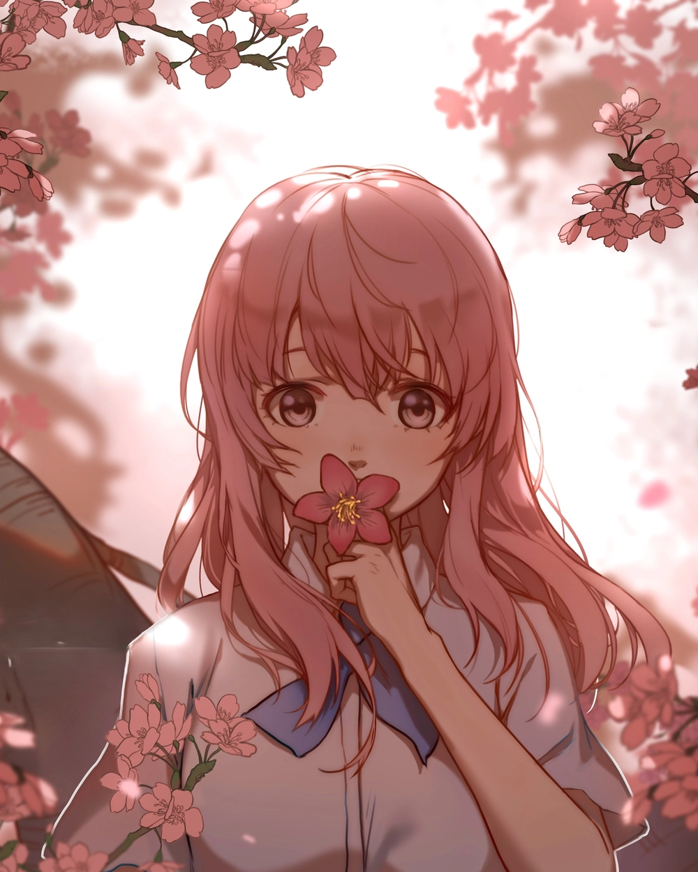 hình shouko nishimiya với hoa anh đào 