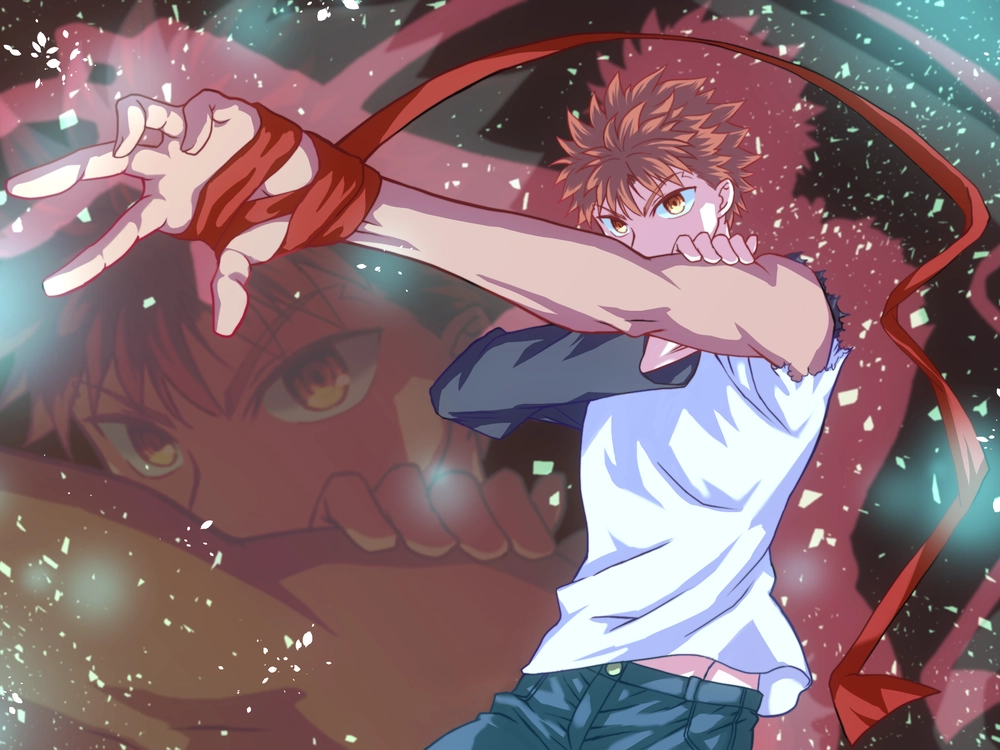 hình Shirou Emiya fate stay night 