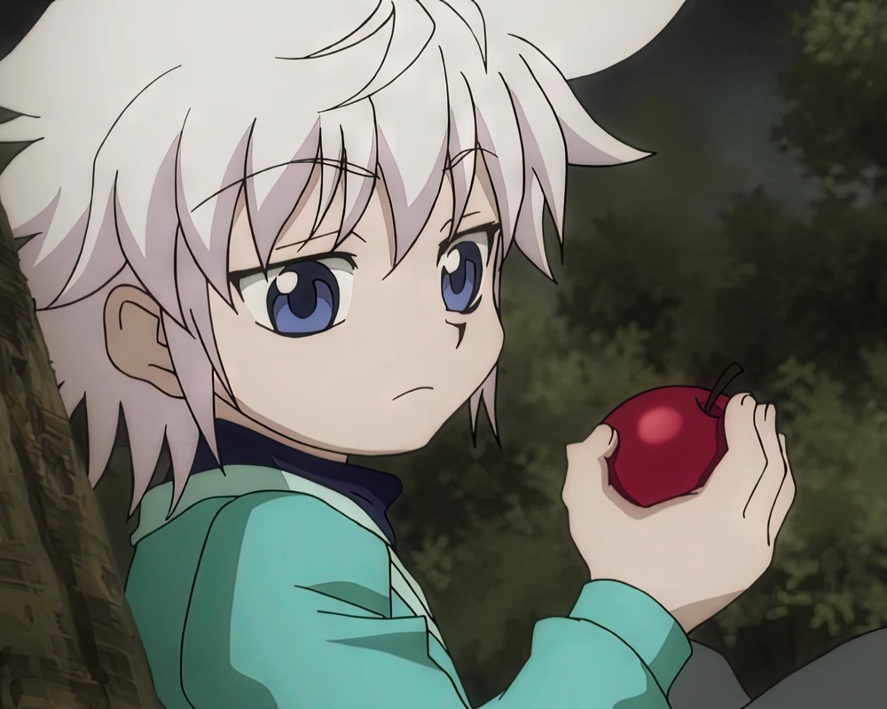 ảnh hunter x hunter ngầu chuẩn HD 