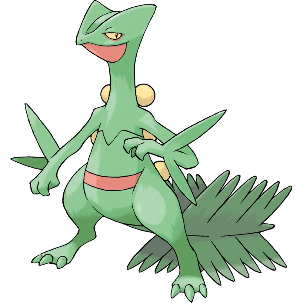 Hình ảnh Pokemon Hoenn