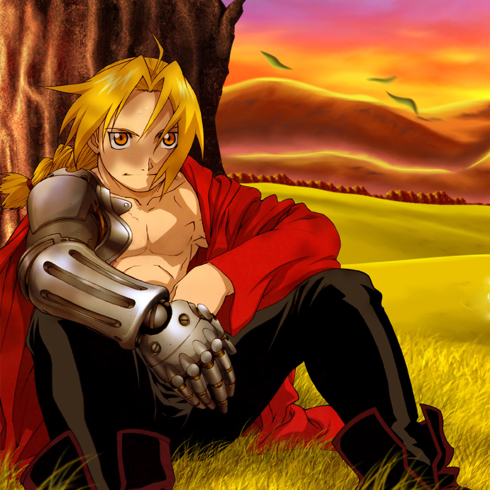 ảnh edward elric biểu cảm vui nhộn