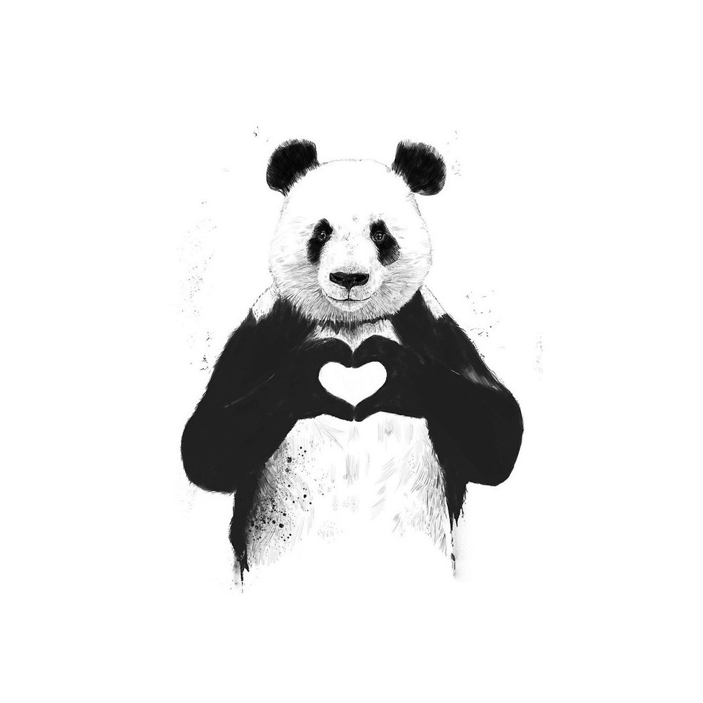 Ảnh panda hoạt hình Nhật