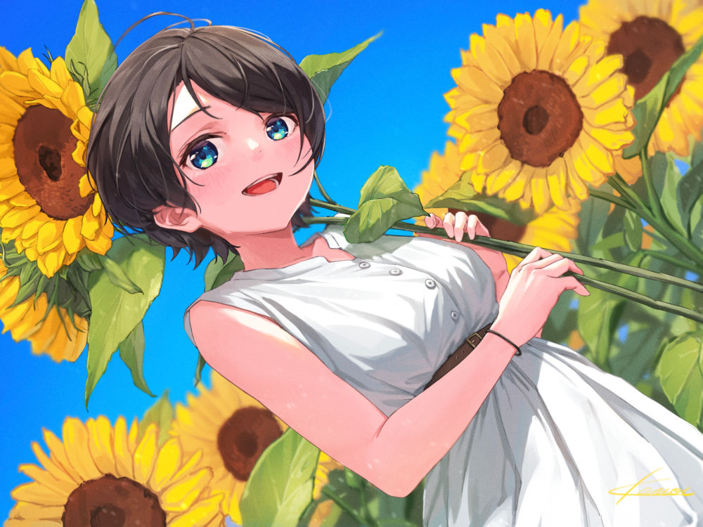 ảnh anime hoa hướng dương giản dị