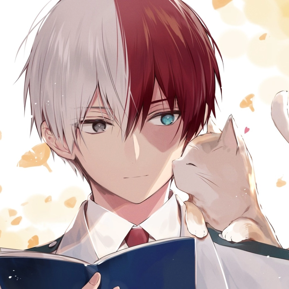 hình my hero academia shoto todoroki