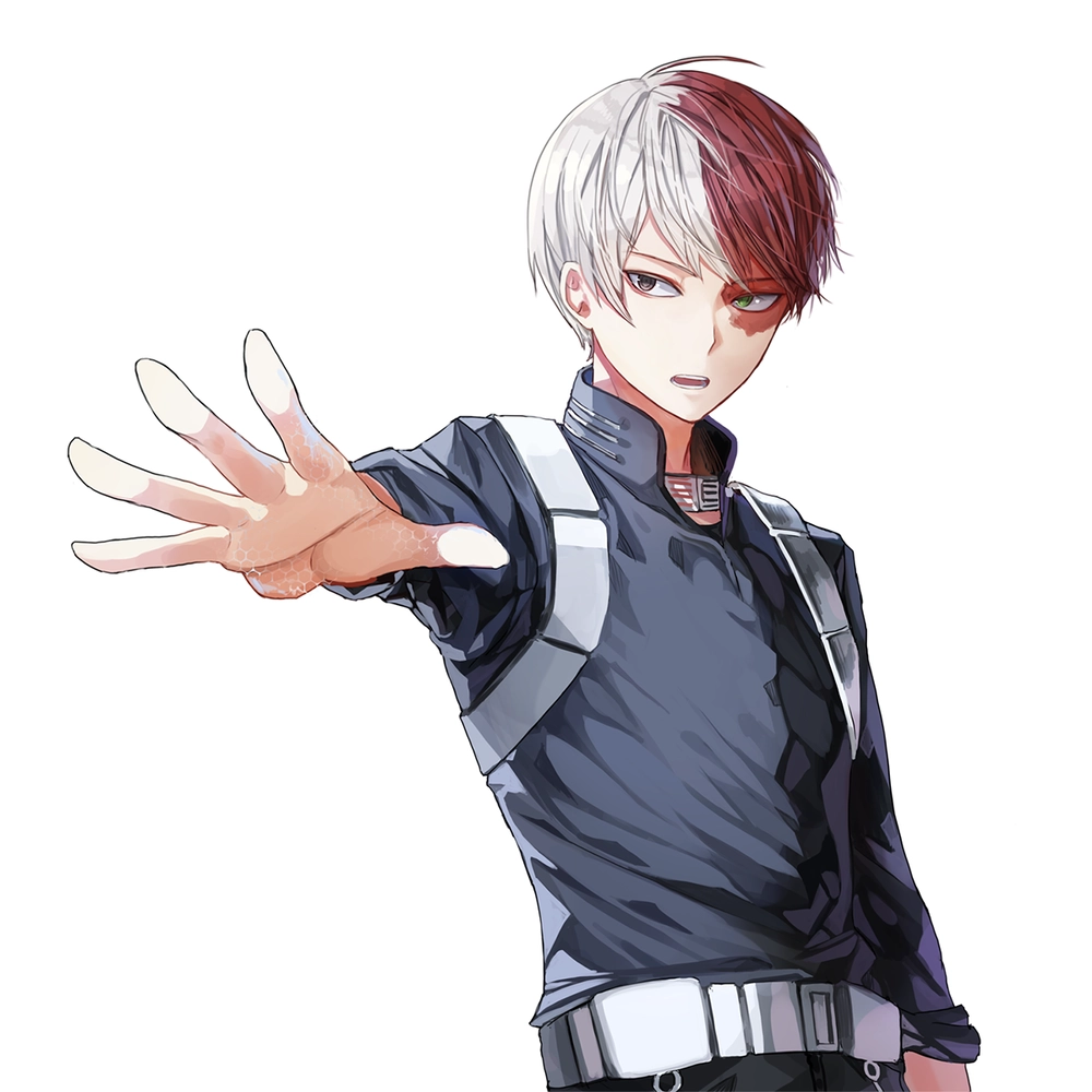 Shoto Todoroki cool boy