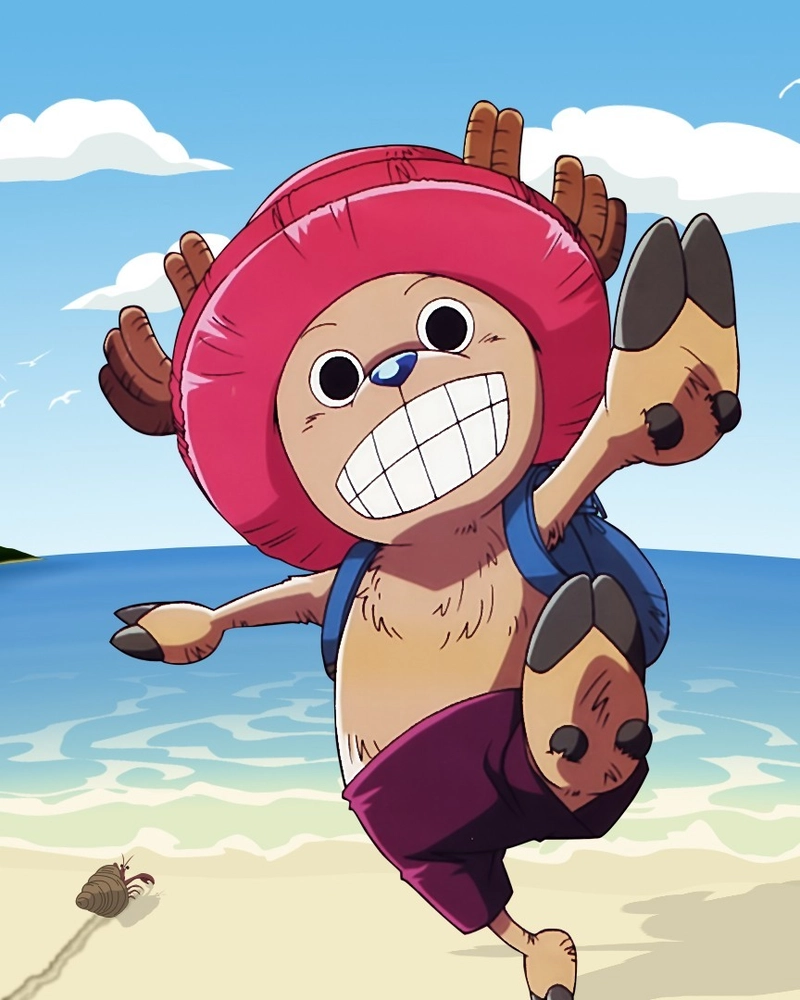 Tony Tony Chopper trong One Piece