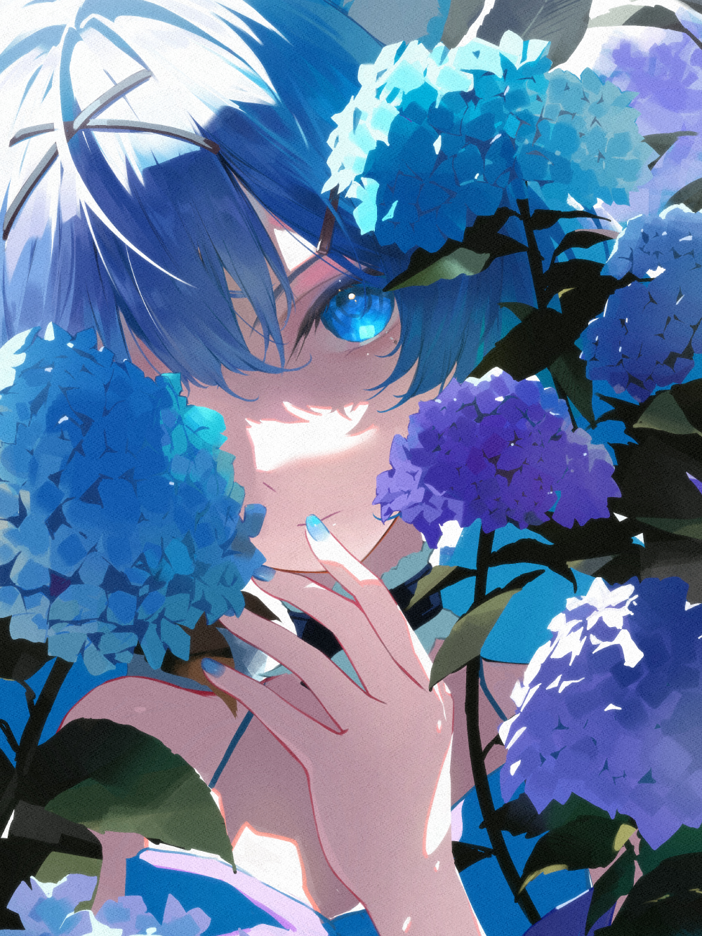 ảnh hoa cẩm tú cầu anime sáng