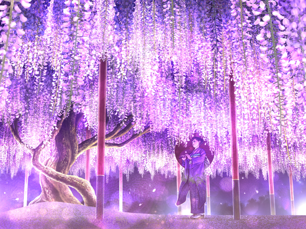 anime hoa tử đằng lung linh