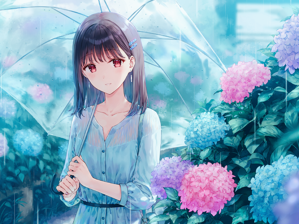 hình ảnh anime hoa cẩm tú cầu