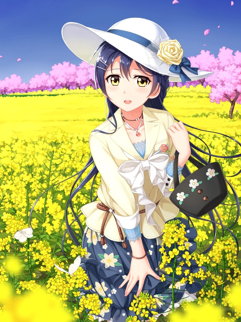 phong cảnh anime cánh đồng rộng